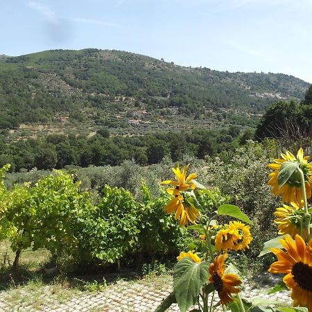 Apartament Quinta Do Pina Guarda Zewnętrze zdjęcie