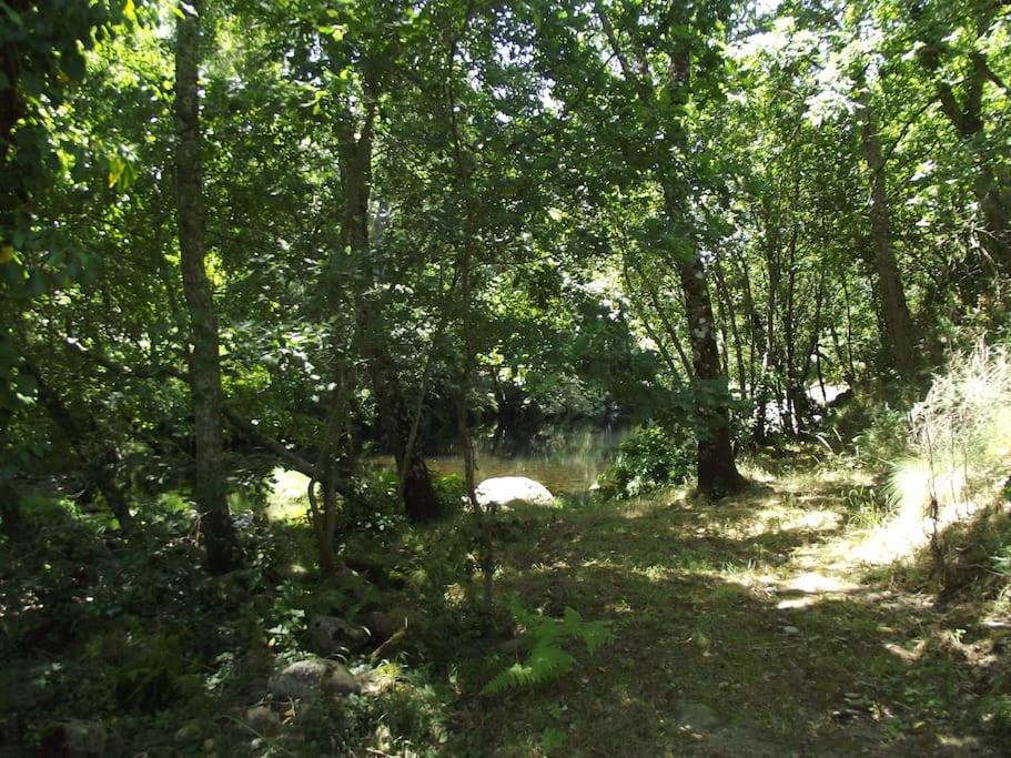 Apartament Quinta Do Pina Guarda Zewnętrze zdjęcie