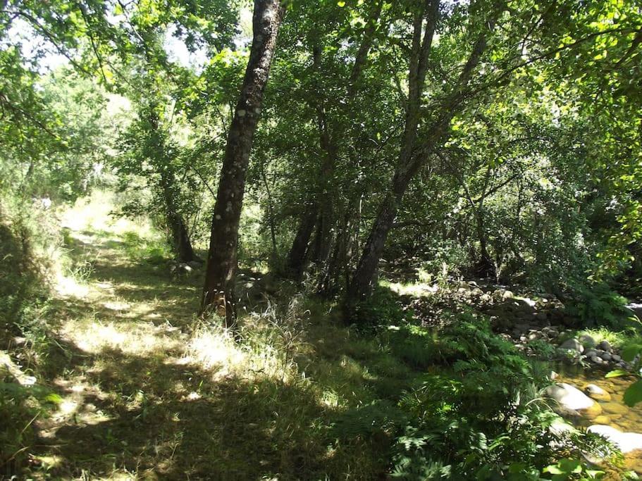 Apartament Quinta Do Pina Guarda Zewnętrze zdjęcie